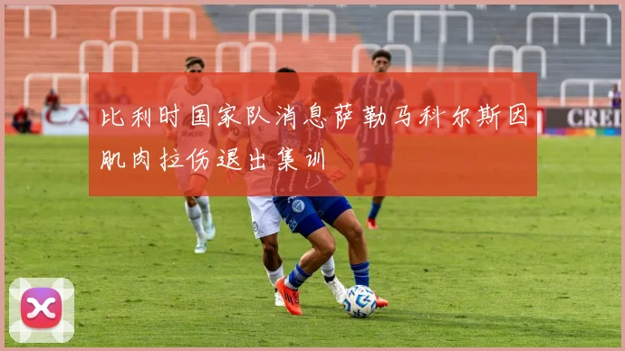 比利时国家队消息萨勒马科尔斯因肌肉拉伤退出集训