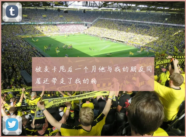 被麦卡甩后一个月他与我的朋友同居还带走了我的狗