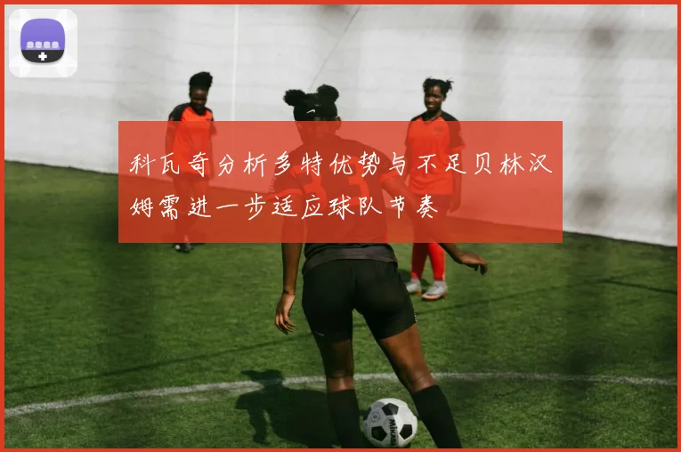 科瓦奇分析多特优势与不足贝林汉姆需进一步适应球队节奏