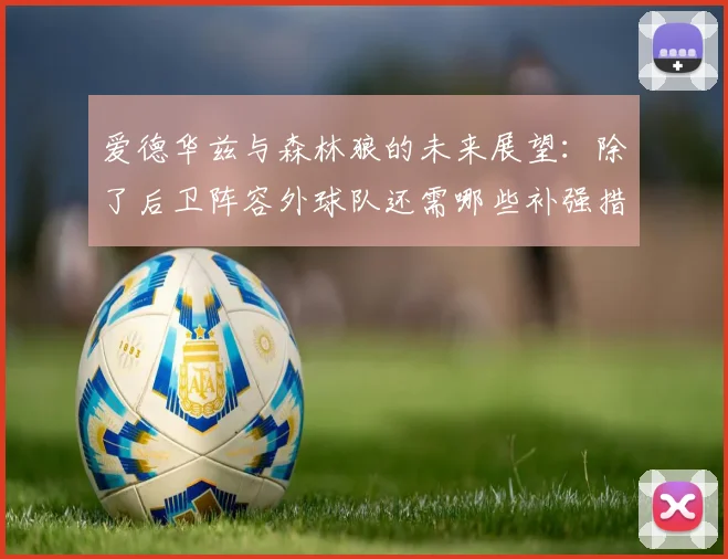 爱德华兹与森林狼的未来展望：除了后卫阵容外球队还需哪些补强措施
